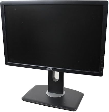 DELL P1913B LCD