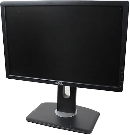 DELL P1913B LCD